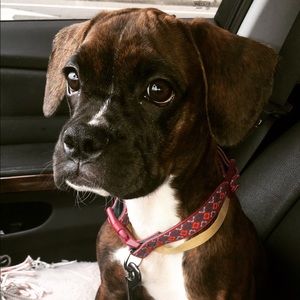 Meet your Posher, Heather